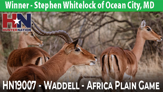 HN19007-Waddell-Africa-Hunt-Winner_544
