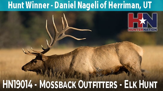 HN19014-Mossback-Elk-Hunt-Winner_544