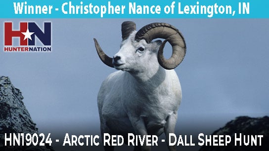 HN19024-Arctic-Red-River-Dall-Sheep-Hunt_Winner_544