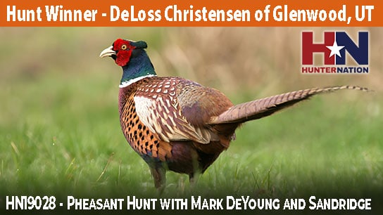 HN19028-Mark-DeYoung-Pheasant-Hunt_544