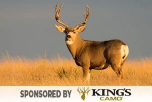 hunter-nation-dream-hunt-2020-05-kings-camo-mule-deer-hunt-02-544