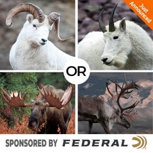 hunter-nation-dream-hunt-2020-02s--federal-ammunition-choice-hunt-dall-moose-goat-caribou-600x600