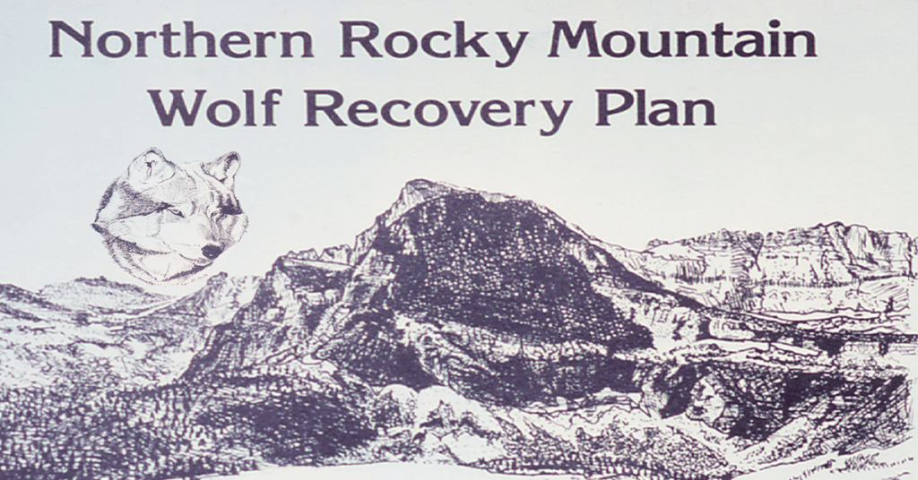 1980 Northern Rocky Mountain Wolf Recovery Plan