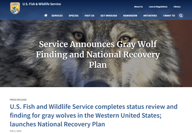 WOLF-USFWS-Completes-Status-Review-of-Gray-Wolf-Western-US-2024-02