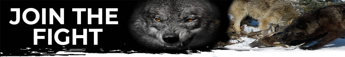 Hunter-Nation-Join-The-Fight-Wolf-Deer_1200x200