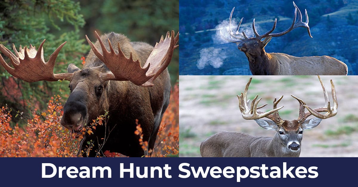 Hunter-Nation-Dream-Hunts-2025-ADs_1200x628__2025-10
