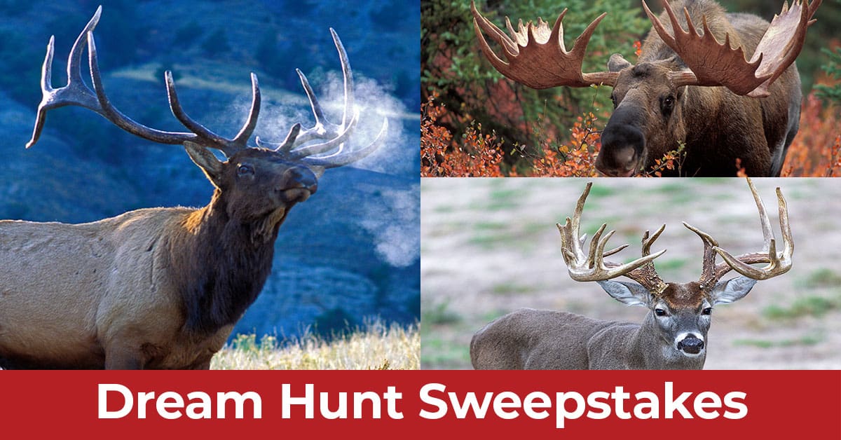 Hunter-Nation-Dream-Hunts-2025-ADs_1200x628__2025-10c