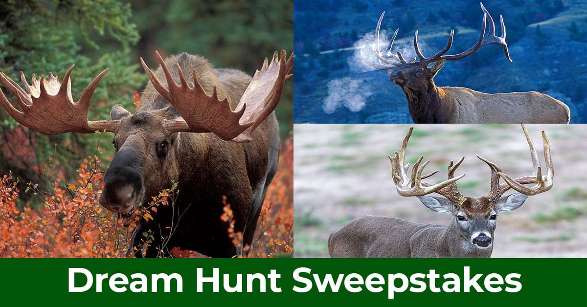 Hunter-Nation-Dream-Hunts-2025-ADs_1200x628__2025-10e