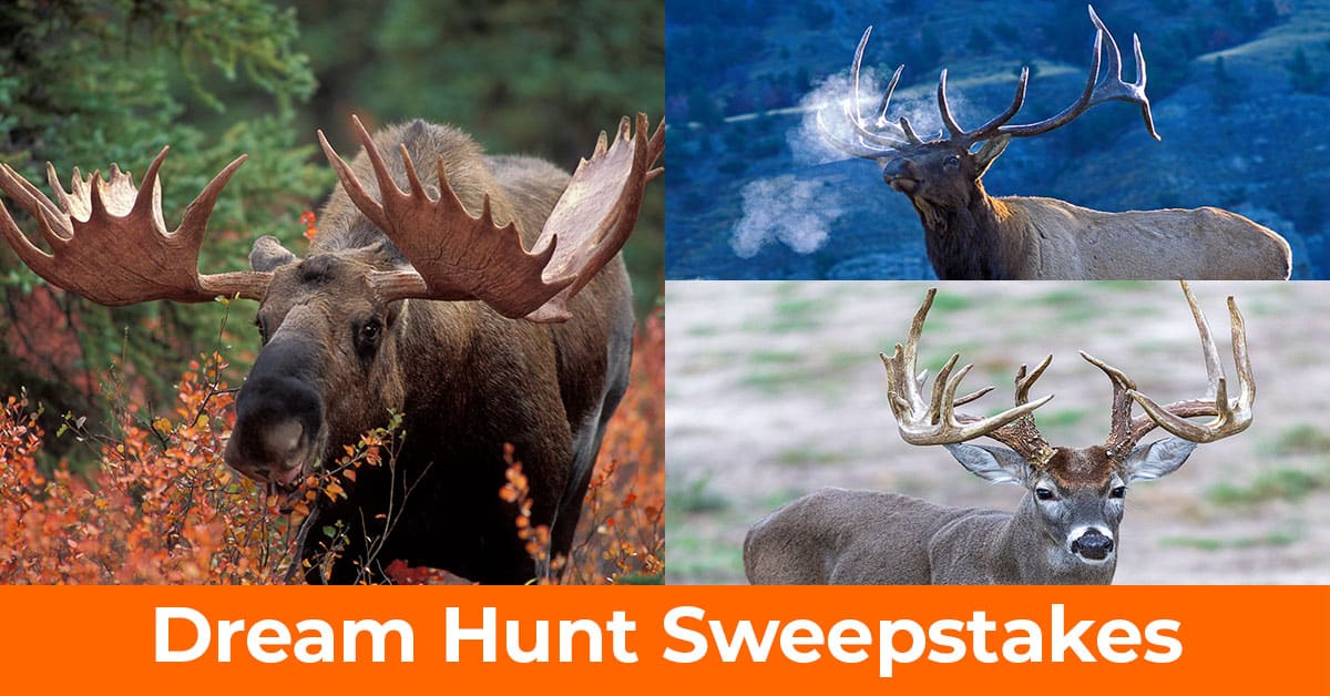 Hunter-Nation-Dream-Hunts-2025-ADs_1200x628__2025-10f