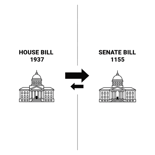 Bicameral Legislation. Created with Gemini.