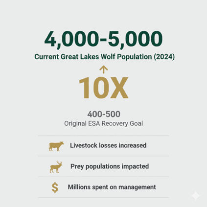 Wolf Recovery Exceeds Goals. Data from DNR Wisconsin, Created with Gemini.